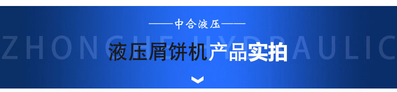 315T銅鐵鋁屑金屬粉末壓餅機(jī)(圖3) 315T銅鐵鋁屑金屬粉末壓餅機(jī)(圖3)